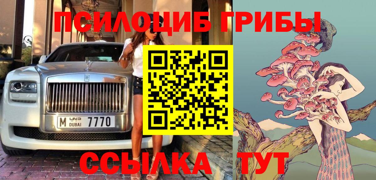 Псилоцибиновые грибы GOLDEN TEACHER Калининград